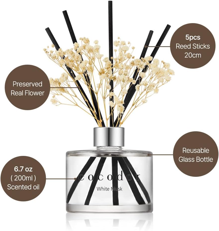 6.7oz White Jasmine Reed Diffu – Home Fragrance White Jasmine Bewertung und Preis