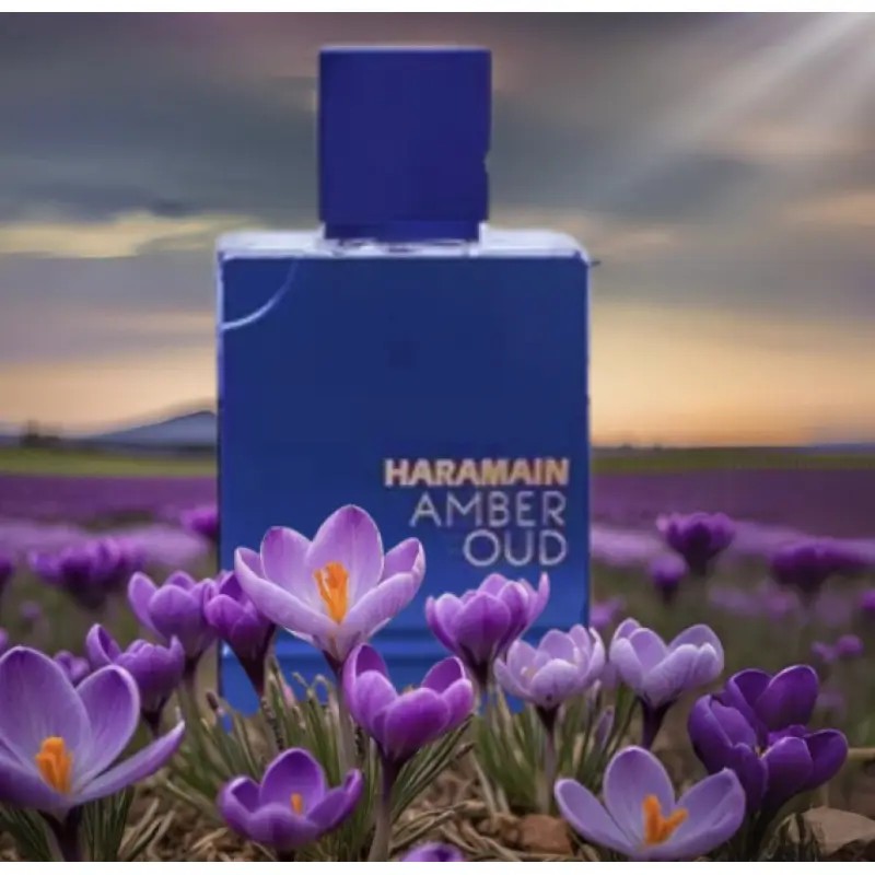 Al Haramain Amber Oud - Dubai  – Home Fragrance Dubai Bewertung und Preis