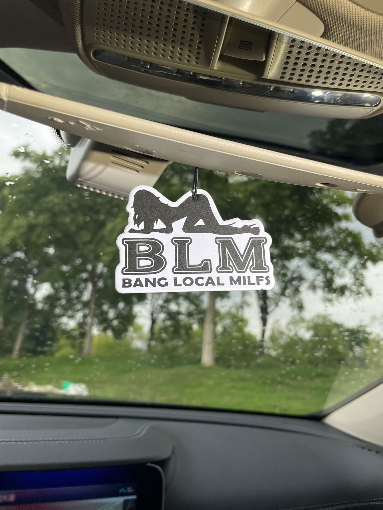 Blm Bang Local Milf/Fresh Frag – Home Fragrance Premium Bewertung und Preis