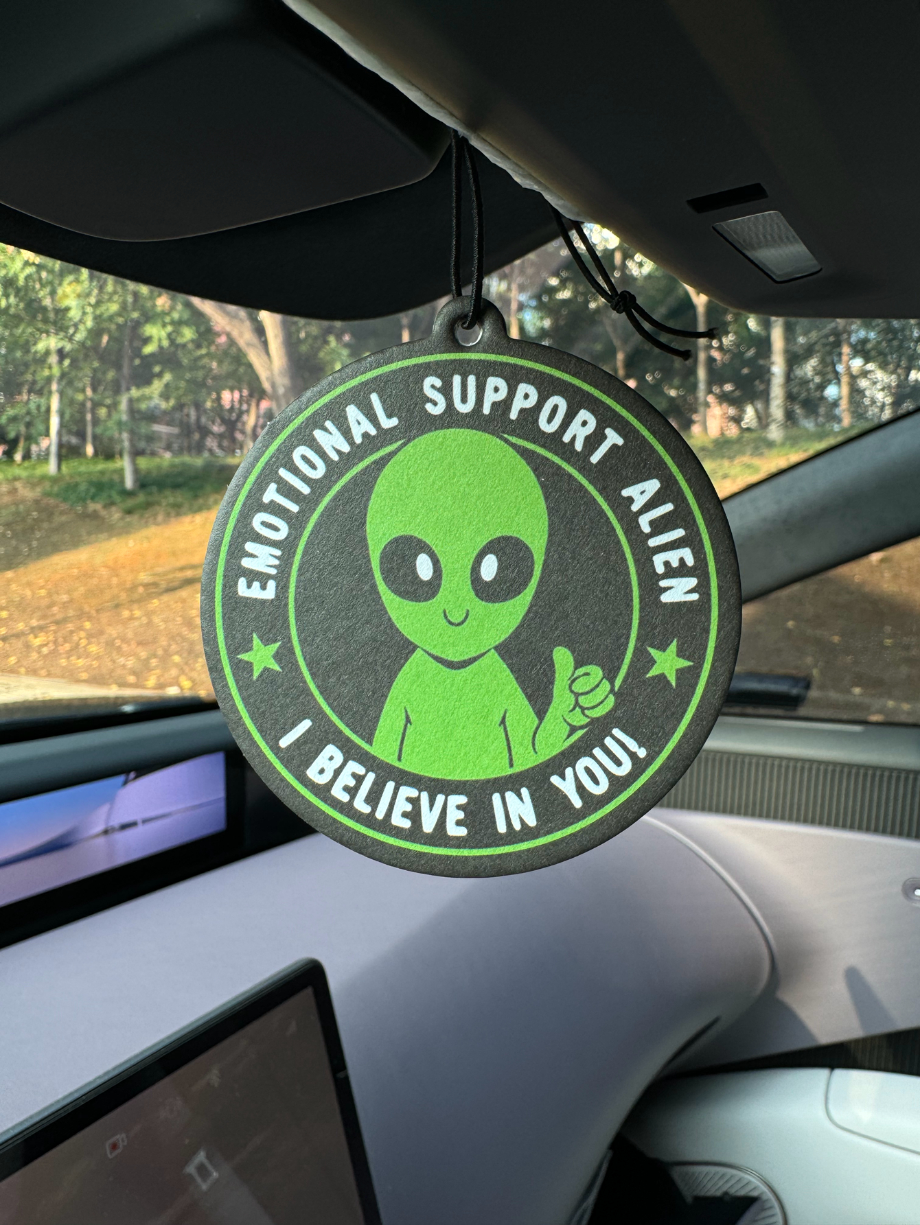 Emotional Support Alien Alien  – Home Fragrance That Lasts Long Bewertung und Preis