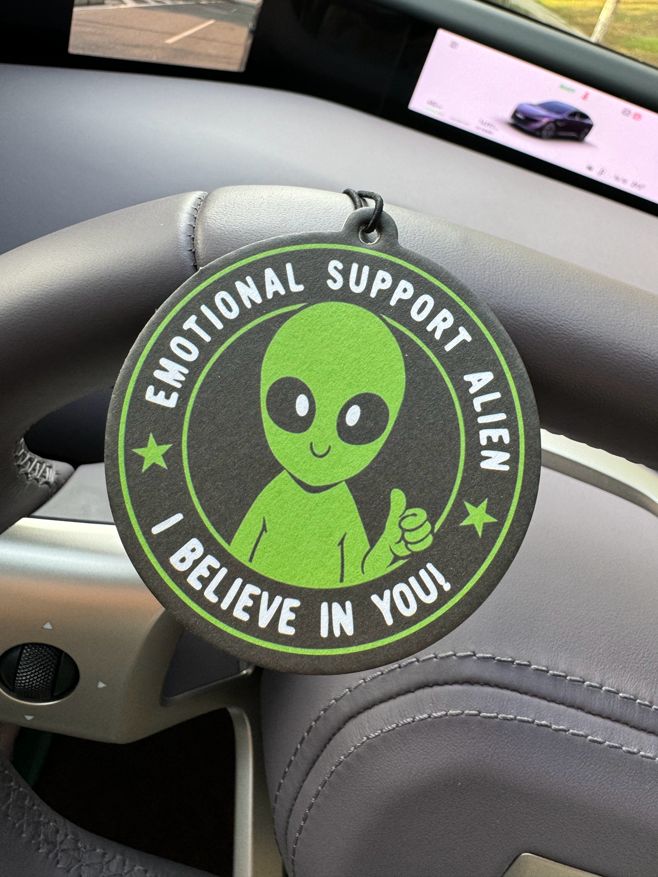 Emotional Support Alien Alien  – Home Fragrance That Lasts Long Bewertung und Preis