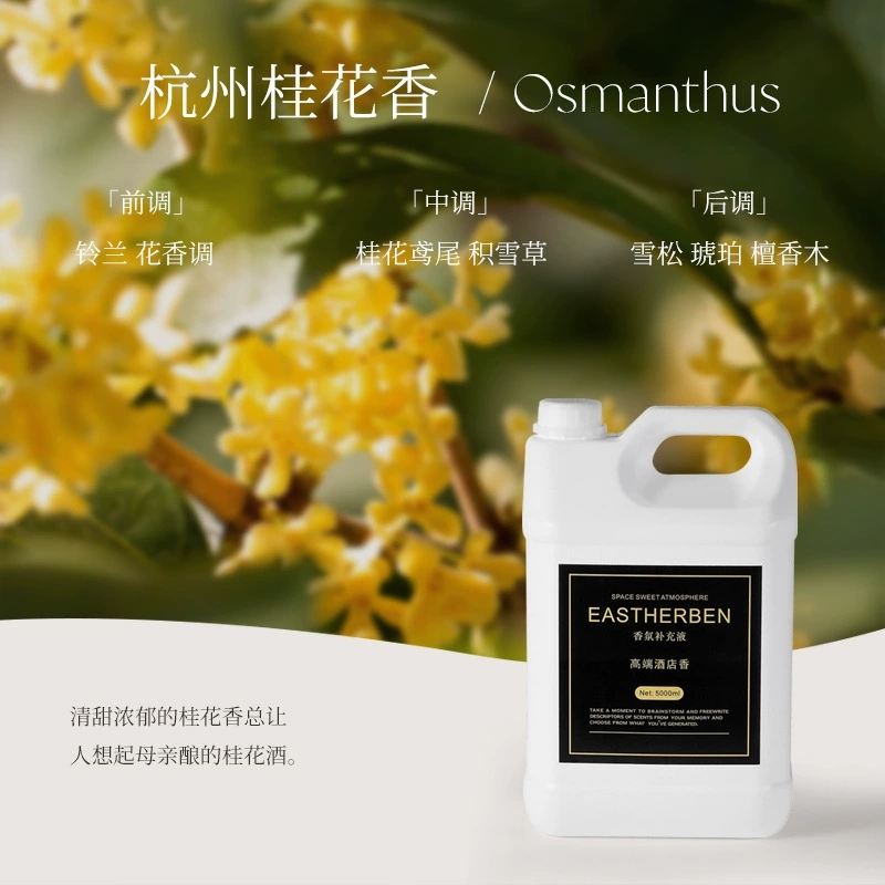 1000ml Essential Oil Refill Ar – Home Fragrance Sale Bewertung und Preis